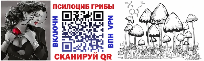 Псилоцибиновые грибы Cubensis  кракен tor  Тында 