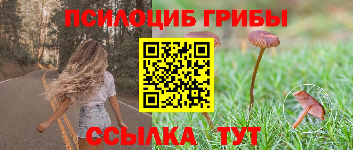 Псилоцибиновые грибы мицелий  Вход с VPN  Тында 